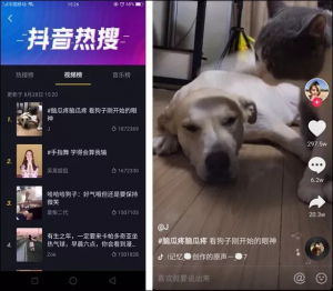 抖音和快手的下一站：一个像微博，一个像秀场