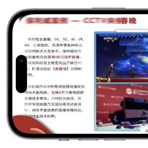 网页直播营销策略