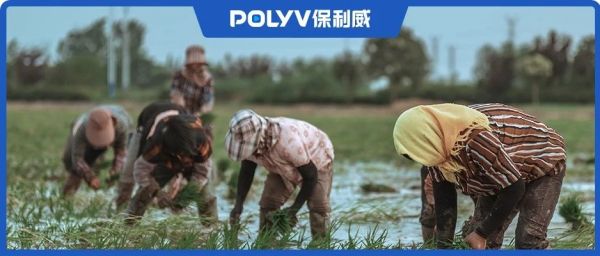 直播打响扶贫攻坚战，银行开启金融助农新模式