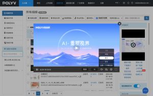 How Can Video Platforms Trace Recording and Account Sharing?