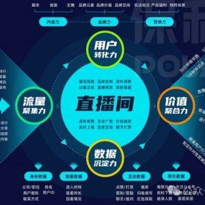 H5直播技术