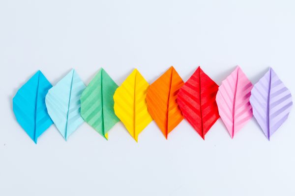 兴趣教育直播软件怎么找？哪个直播平台更靠谱？