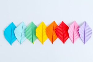 兴趣教育直播软件怎么找？哪个直播平台更靠谱？
