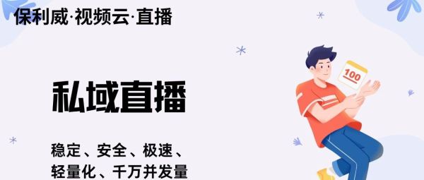 会议系统厂家