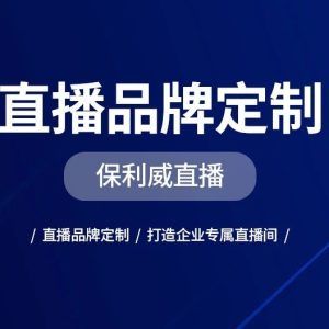 视频会议品牌十大排名